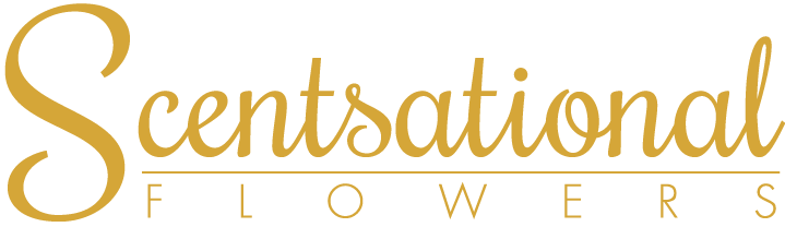 Scentsational Ltd in Uxbridge Logo