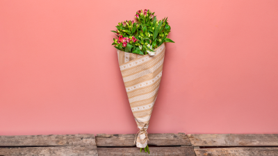 Wrap of Colour - This simply wrapped collection of long lasting Alstroemeria will make your message just that bit more special.